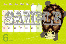 亀カレンダー