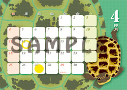 リクガメカレンダー