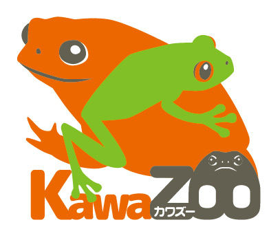 kawazoo