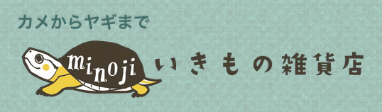 NKe[v