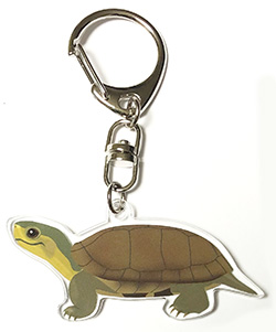 ホウシャガメキーリング