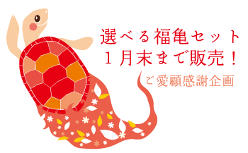 福亀セット