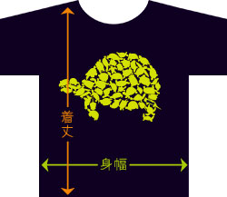 カメTシャツ