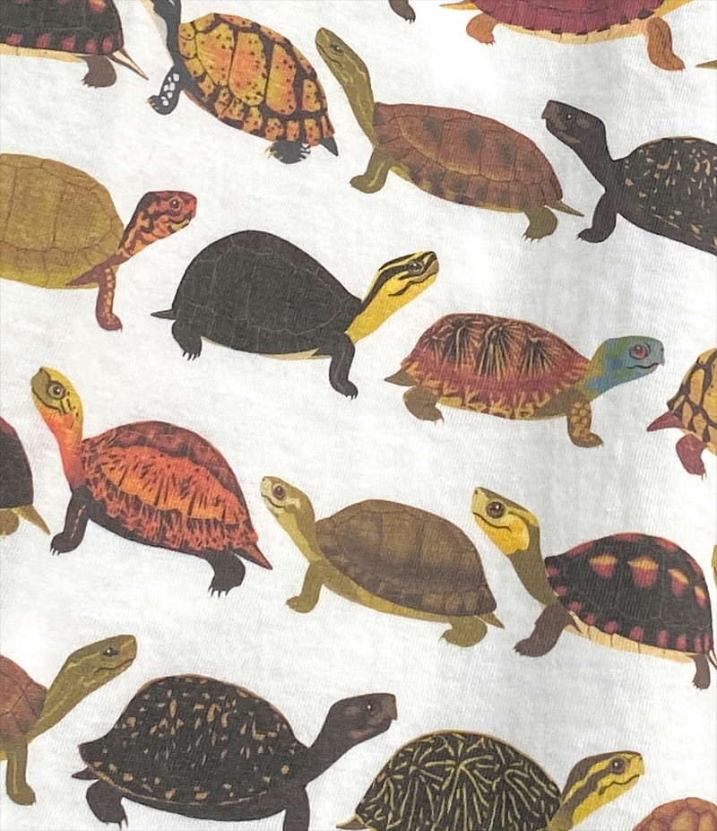ハコガメTシャツ