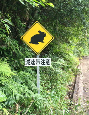 動物標識Tシャツ