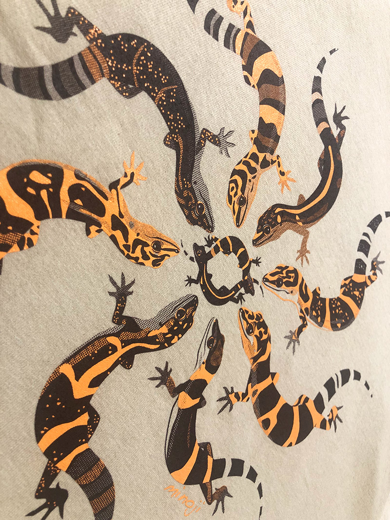 世界の亀Tシャツ