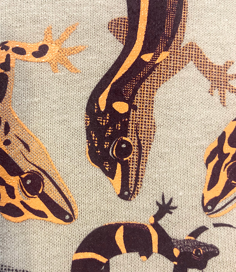 世界の亀Tシャツ
