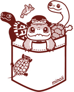 リクガメ