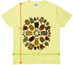 カメTシャツ